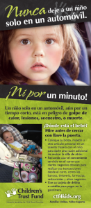 NEFAM Rack Card 15 spanish