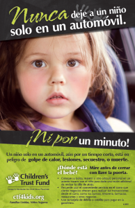 NEFAM poster 15 spanish