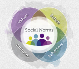 CTF - Social Norms