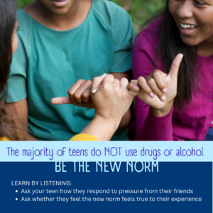 The majority of teens do NOT use drugs or alcohol - Be The New Norm