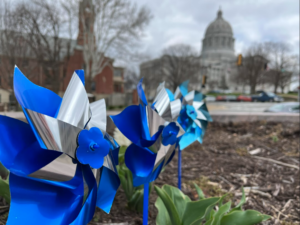 Pinwheels close up - Capitol dome background